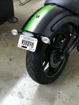 tail 2.jpg